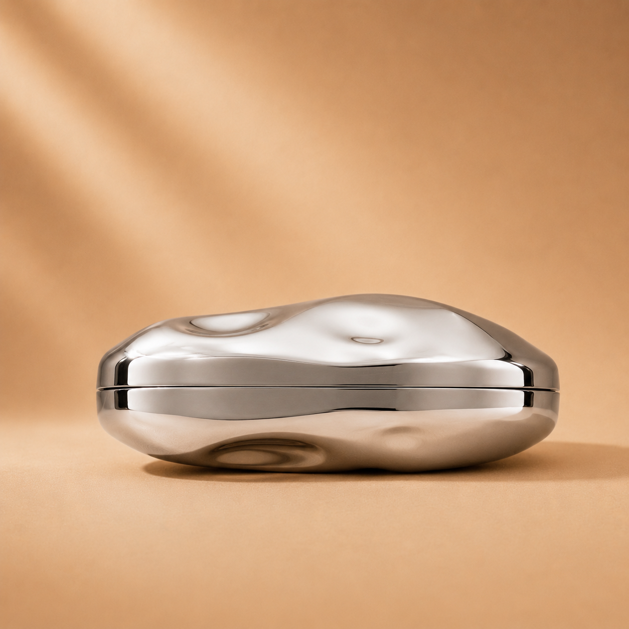 Valencia Clutch Chrome